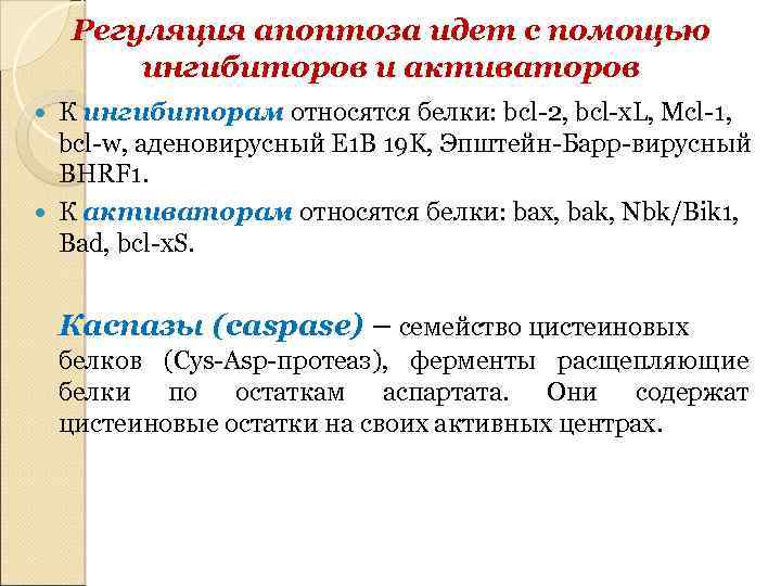 Регуляция апоптоза идет с помощью ингибиторов и активаторов К ингибиторам относятся белки: bcl-2, bcl-x.