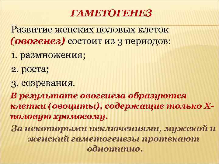 ГАМЕТОГЕНЕЗ Развитие женских половых клеток (овогенез) состоит из 3 периодов: 1. размножения; 2. роста;