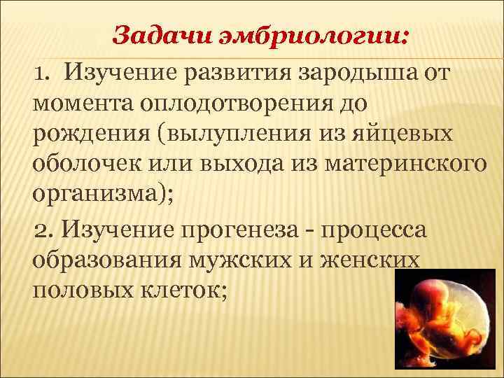 Задачи эмбриологии: 1. Изучение развития зародыша от момента оплодотворения до рождения (вылупления из яйцевых