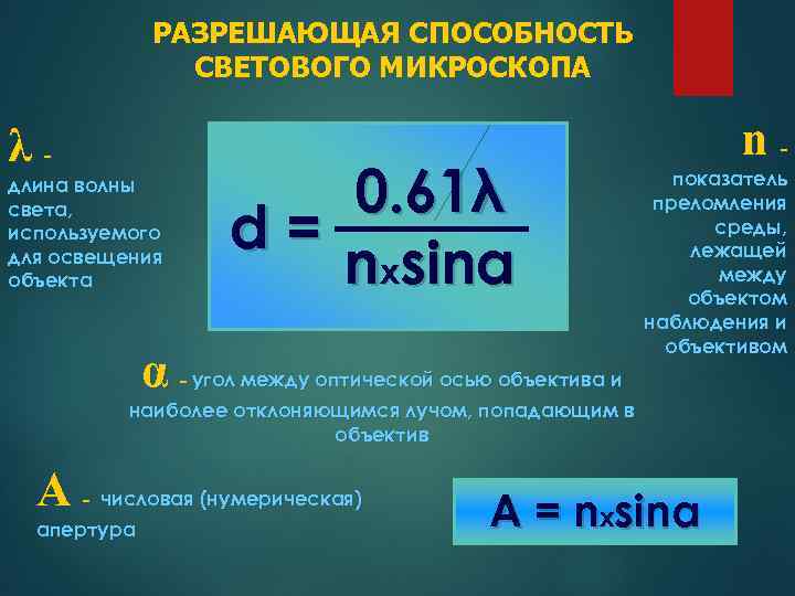 РАЗРЕШАЮЩАЯ СПОСОБНОСТЬ СВЕТОВОГО МИКРОСКОПА λ- длина волны света, используемого для освещения объекта 0. 61λ