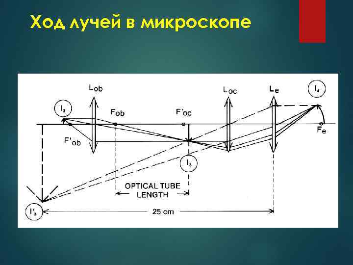 Нарисовать ход лучей в микроскопе