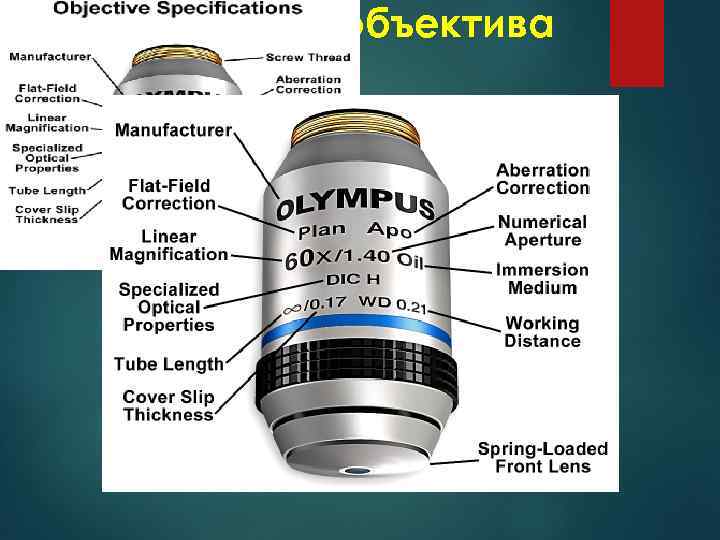Маркировка объектива 