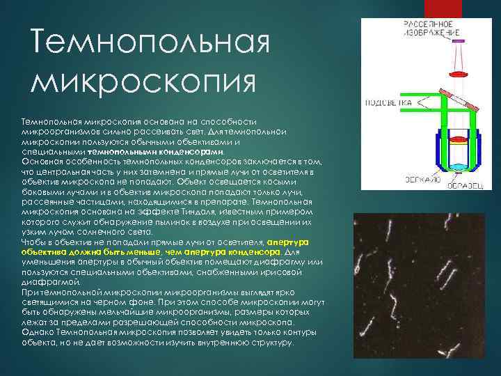 Темнопольная микроскопия основана на способности микроорганизмов сильно рассеивать свет. Для темнопольнои микроскопии пользуются обычными