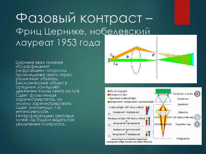 Фазовый контраст – Фриц Цернике, нобелевский лауреат 1953 года Цернике ввел понятие «Коэффициент рефракции»