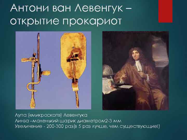 Антони ван Левенгук – открытие прокариот Лупа ( «микроскоп» ) Левенгука Линза –маленький шарик