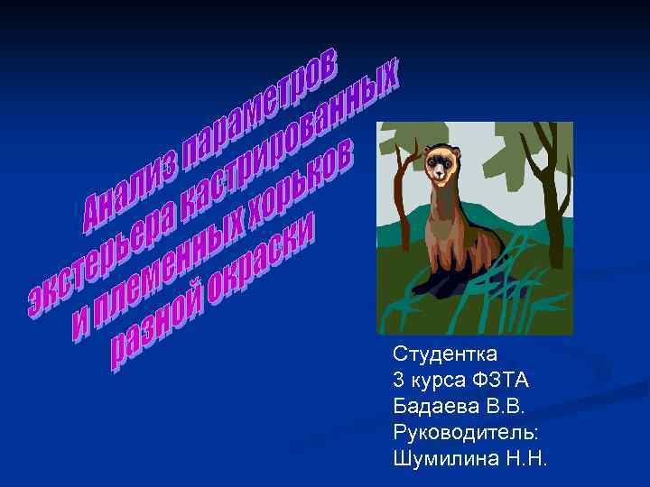 Студентка 3 курса ФЗТА Бадаева В. В. Руководитель: Шумилина Н. Н. 