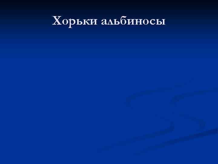 Хорьки альбиносы 