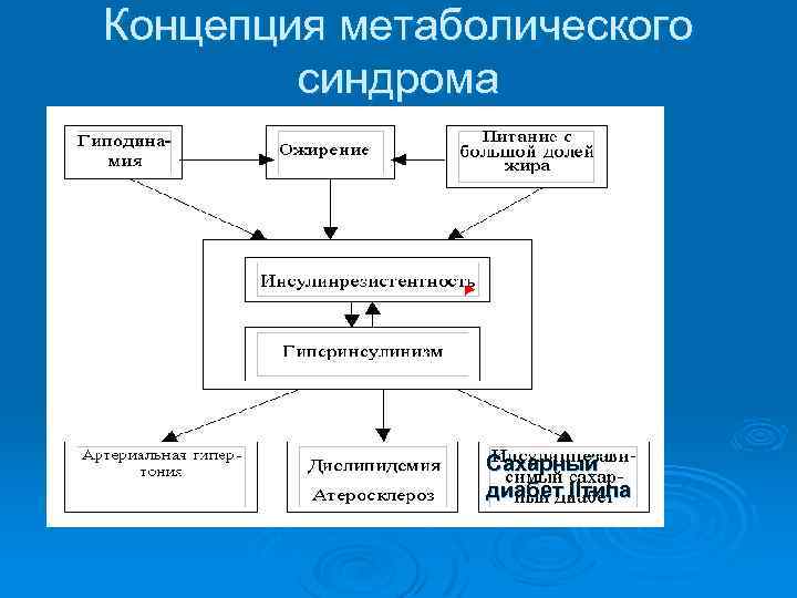 Концепция метаболического синдрома Сахарный диабет IIтипа 