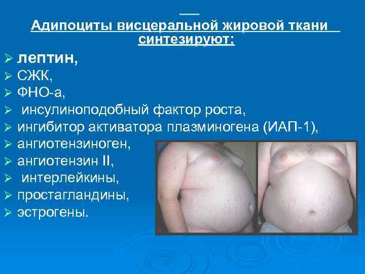  Адипоциты висцеральной жировой ткани синтезируют: Ø лептин, Ø Ø Ø Ø Ø СЖК,