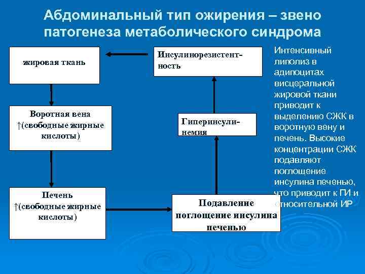 Абдоминальный тип ожирения – звено патогенеза метаболического синдрома Висцеральная жировая ткань Воротная вена ↑(свободные
