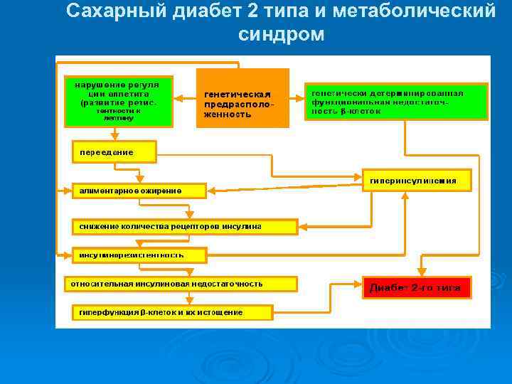 Сахарный диабет 2 типа и метаболический синдром 