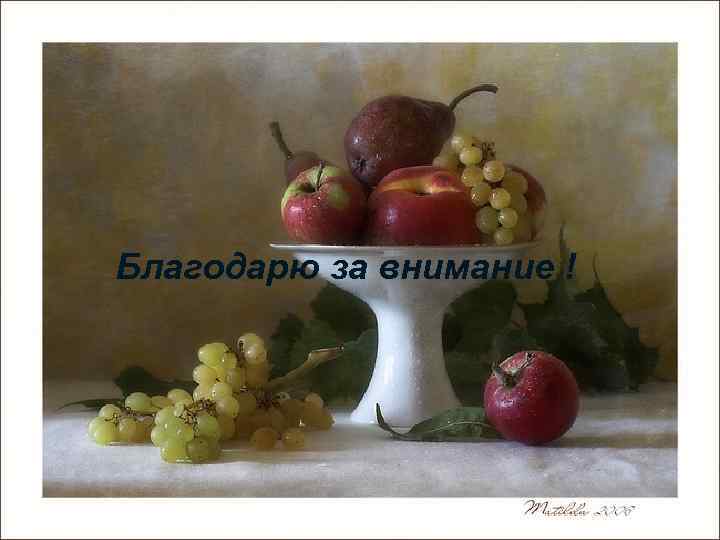 Благодарю за внимание ! 