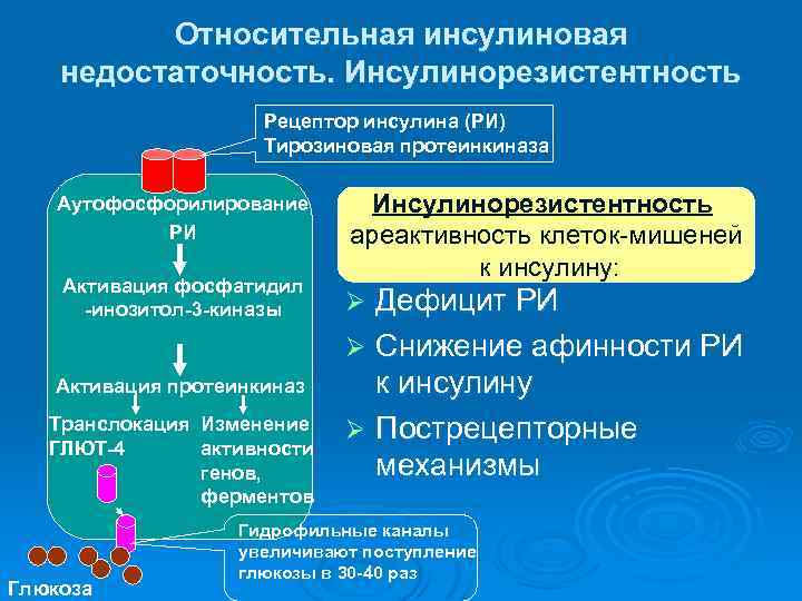 Относительная инсулиновая недостаточность. Инсулинорезистентность Рецептор инсулина (РИ) Тирозиновая протеинкиназа Аутофосфорилирование РИ Активация фосфатидил -инозитол-3