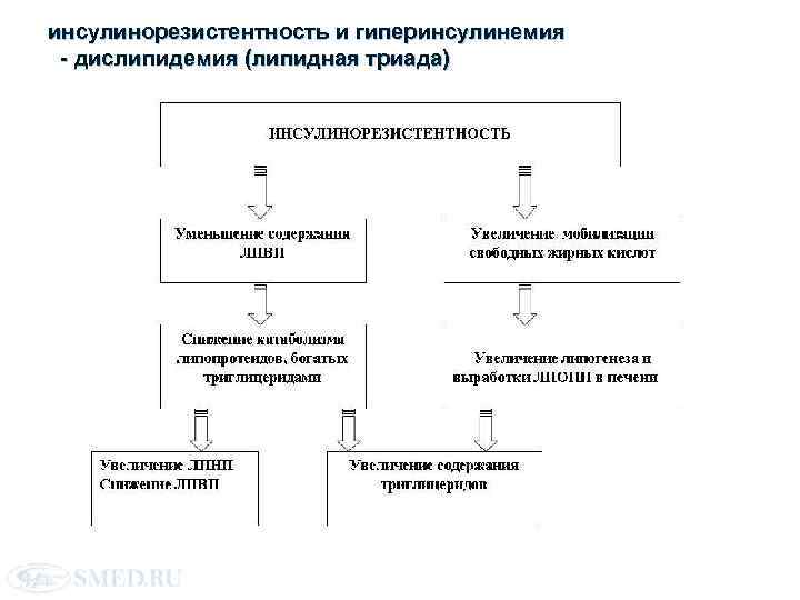 Инсулинорезистентность норма у женщин. Инсулинорезистентность 23. Инсулинорезистентность патогенез инсулинорезистентности. Патогенез дислипидемии. Биохимия инсулинорезистентности.