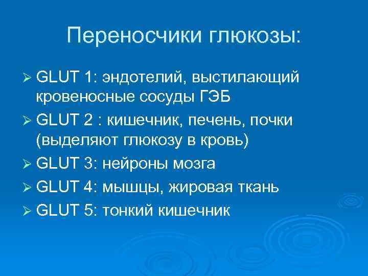 Переносчики глюкозы: Ø GLUT 1: эндотелий, выстилающий кровеносные сосуды ГЭБ Ø GLUT 2 :