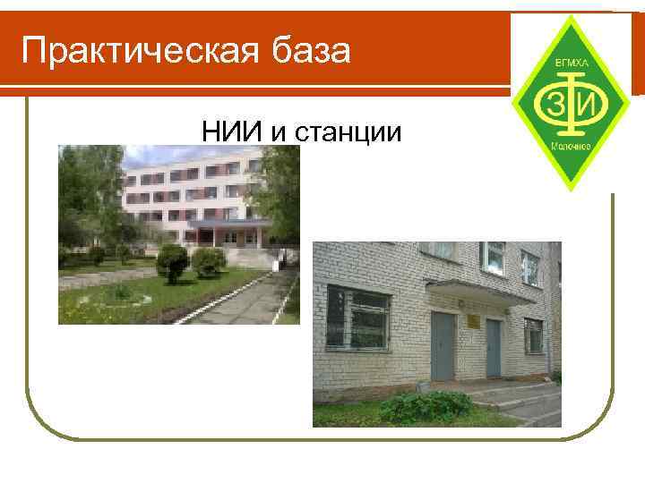 Институт база