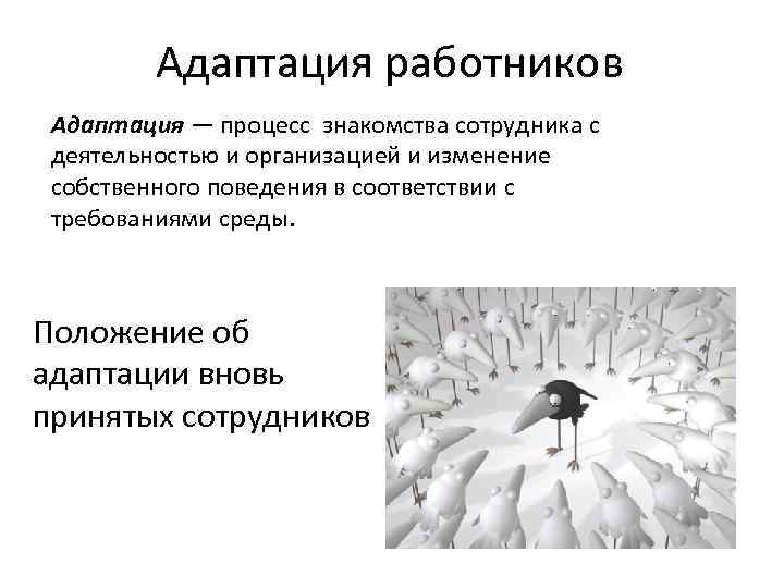 Адаптация работников Адаптация — процесс знакомства сотрудника с деятельностью и организацией и изменение собственного