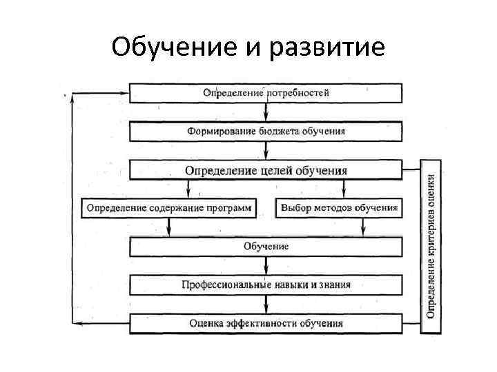 Обучение и развитие 