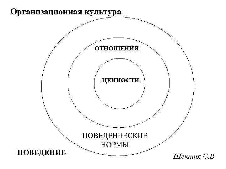 Организационная культура ОТНОШЕНИЯ ЦЕННОСТИ ПОВЕДЕНИЕ ПОВЕДЕНЧЕСКИЕ НОРМЫ Шекшня С. В. 