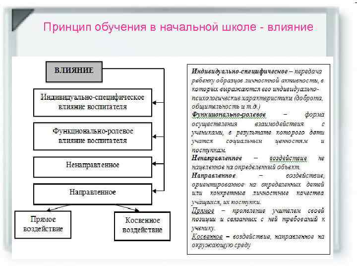 Принцип обучения в начальной школе - влияние 