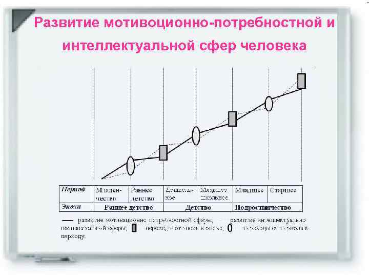 Развитие мотивоционно-потребностной и интеллектуальной сфер человека 