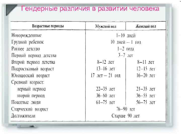 Гендерные различия в развитии человека 