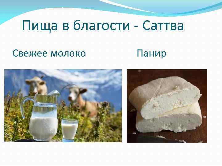  Пища в благости - Саттва Свежее молоко Панир 