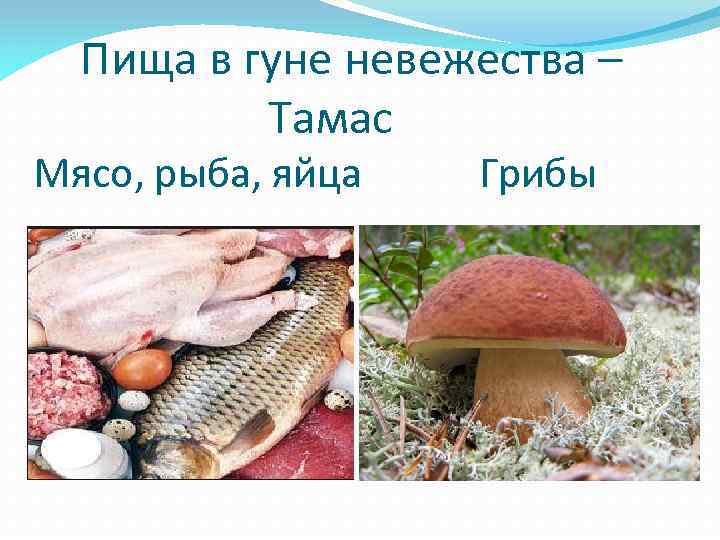  Пища в гуне невежества – Тамас Мясо, рыба, яйца Грибы 