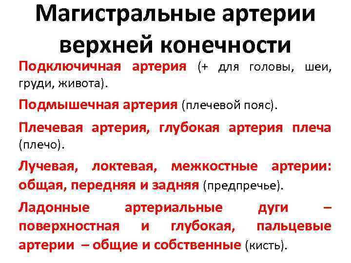 Магистральные артерии верхней конечности Подключичная артерия (+ для головы, шеи, груди, живота). Подмышечная артерия