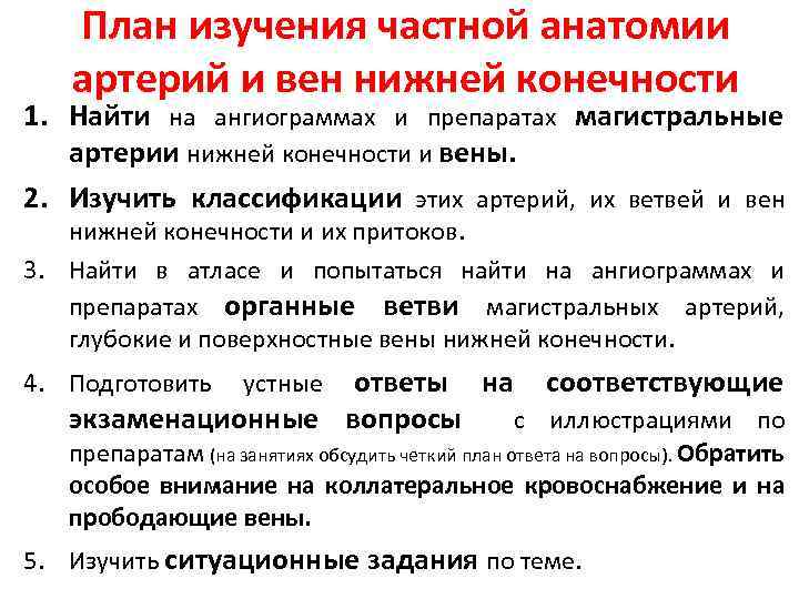 План изучения частной анатомии артерий и вен нижней конечности 1. Найти на ангиограммах и