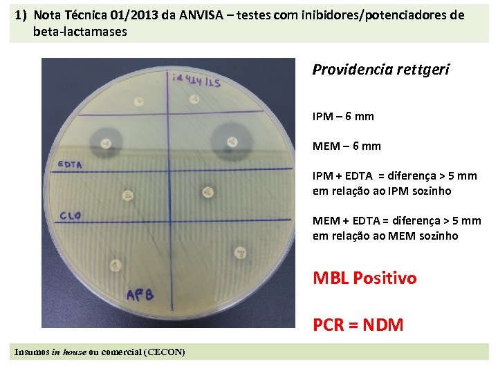1) Nota Técnica 01/2013 da ANVISA – testes com inibidores/potenciadores de beta-lactamases Providencia rettgeri