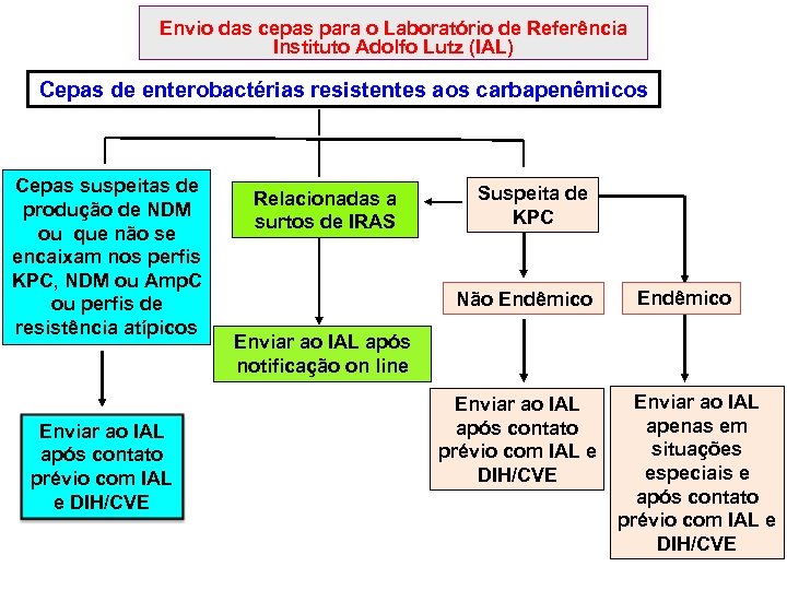 Envio das cepas para o Laboratório de Referência Instituto Adolfo Lutz (IAL) Cepas de
