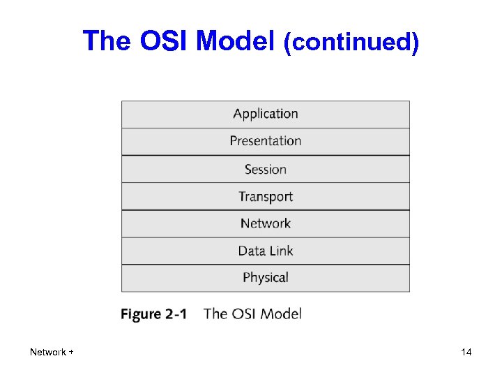The OSI Model (continued) Network + 14 