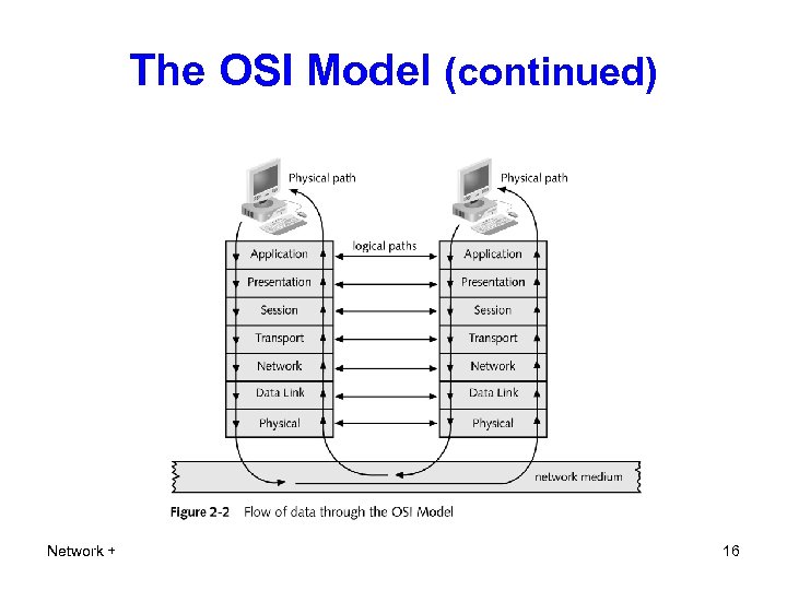 The OSI Model (continued) Network + 16 