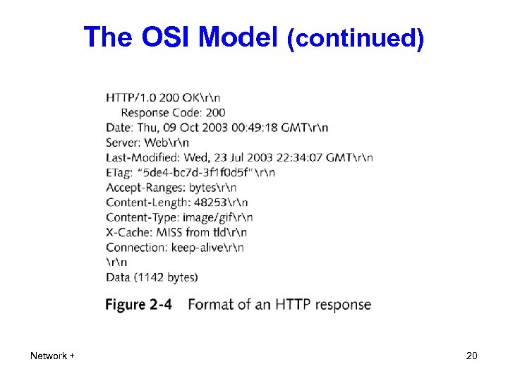 The OSI Model (continued) Network + 20 