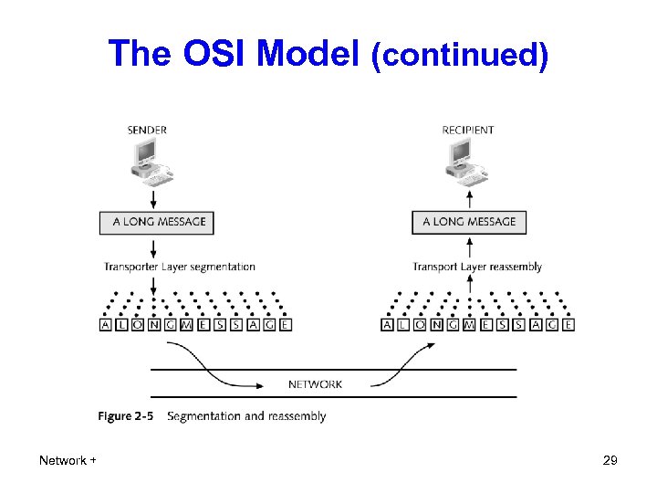 The OSI Model (continued) Network + 29 
