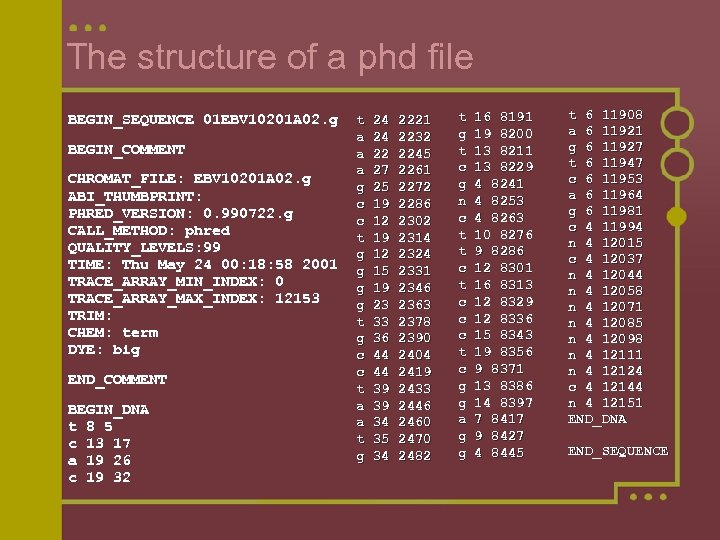 The structure of a phd file BEGIN_SEQUENCE 01 EBV 10201 A 02. g BEGIN_COMMENT