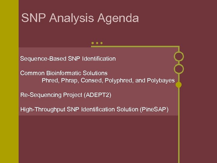 SNP Analysis Agenda Sequence-Based SNP Identification Common Bioinformatic Solutions Phred, Phrap, Consed, Polyphred, and