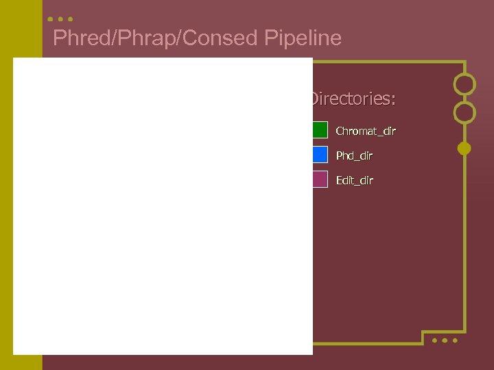 Phred/Phrap/Consed Pipeline Directories: Chromat_dir Phd_dir Edit_dir 