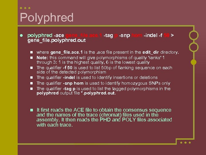 Polyphred l polyphred -ace gene_file. ace. 1 -tag p -snp hom -indel -f 50