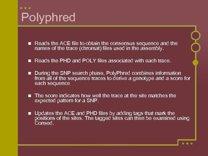 Polyphred n Reads the ACE file to obtain the consensus sequence and the names