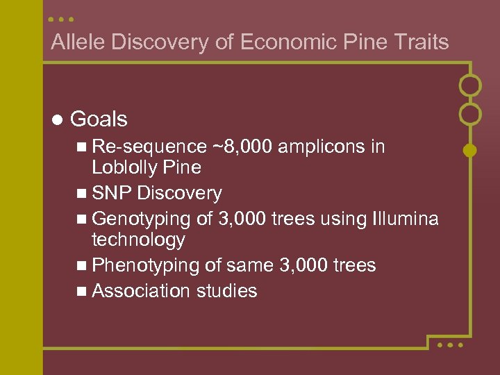 Allele Discovery of Economic Pine Traits l Goals n Re-sequence ~8, 000 amplicons in