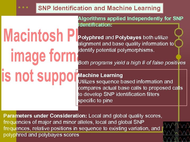 SNP Identification and Machine Learning Algorithms applied Independently for SNP Identification: Polyphred and Polybayes