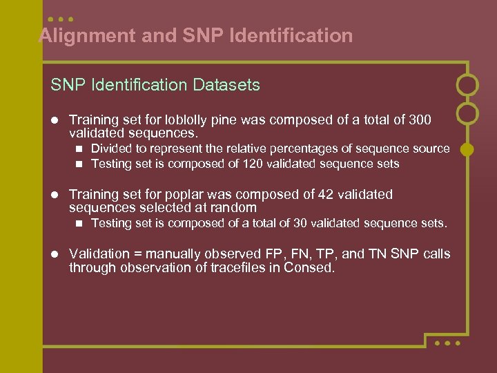 Alignment and SNP Identification Datasets l Training set for loblolly pine was composed of