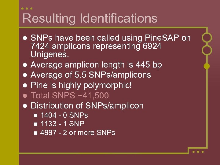 Resulting Identifications l l l SNPs have been called using Pine. SAP on 7424