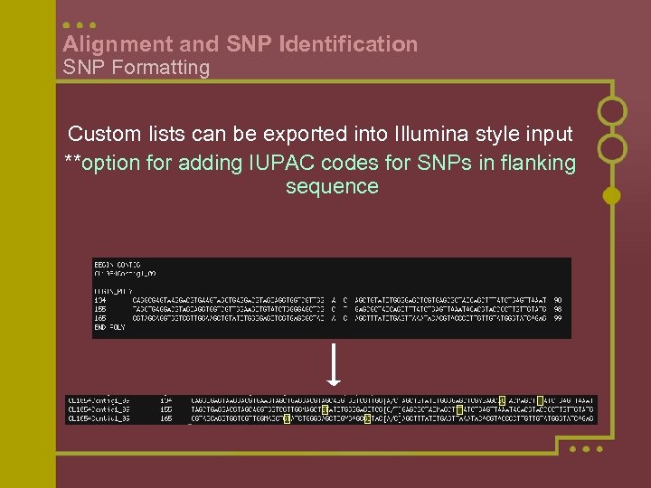 Alignment and SNP Identification SNP Formatting Custom lists can be exported into Illumina style