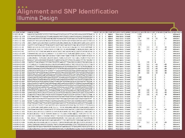 Alignment and SNP Identification Illumina Design 