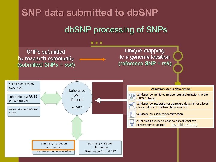 SNP data submitted to db. SNP processing of SNPs submitted by research communtiy (submitted