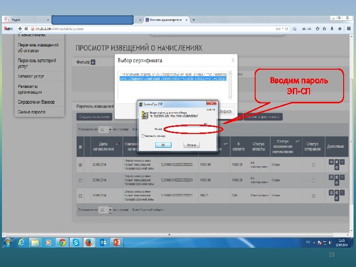 Вводим пароль ЭП-СП 23 