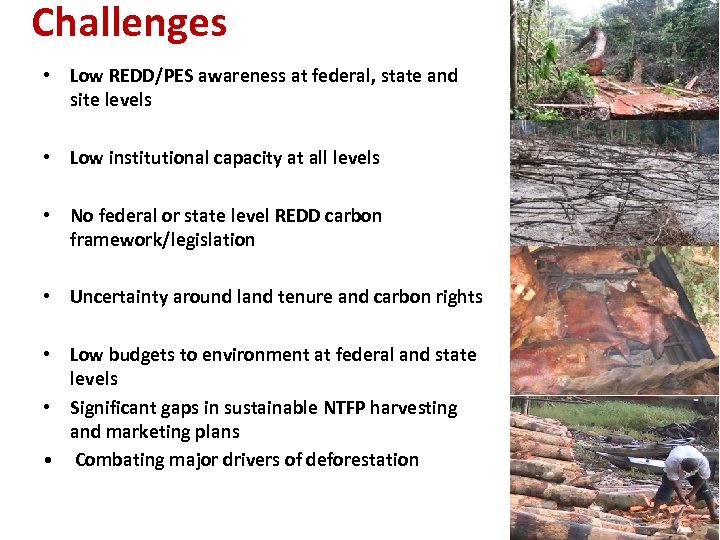 Challenges • Low REDD/PES awareness at federal, state and site levels • Low institutional